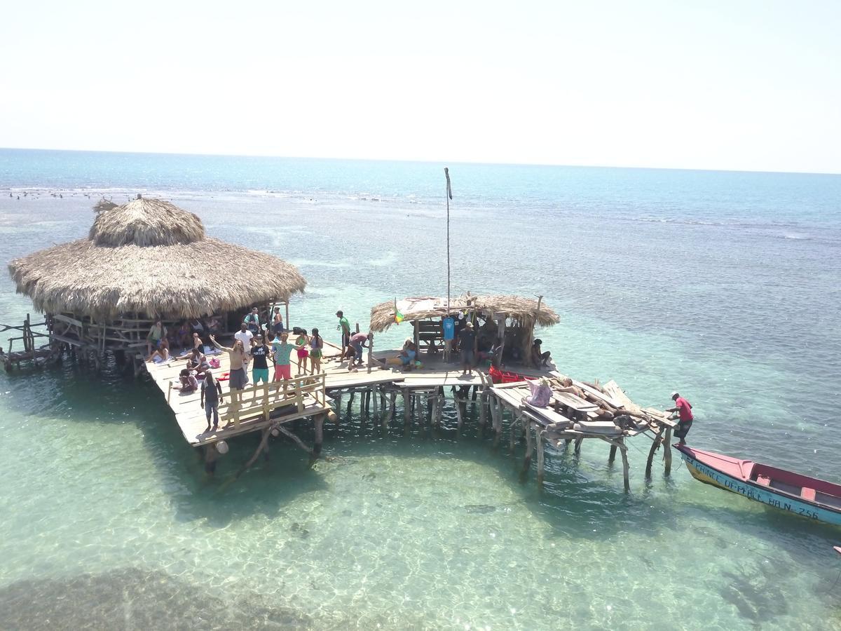 Vila Zimbali Culinary Retreats Negril Exteriér fotografie