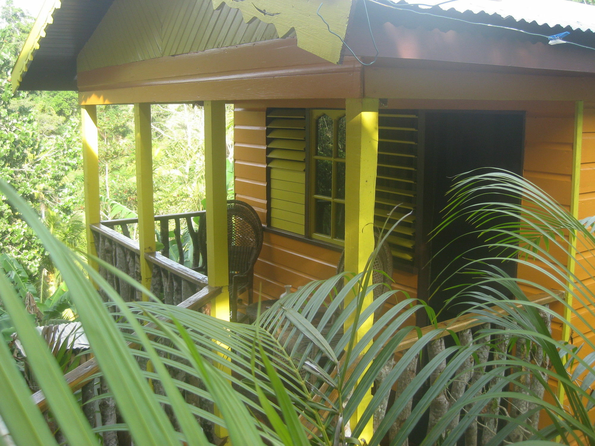 Vila Zimbali Culinary Retreats Negril Exteriér fotografie