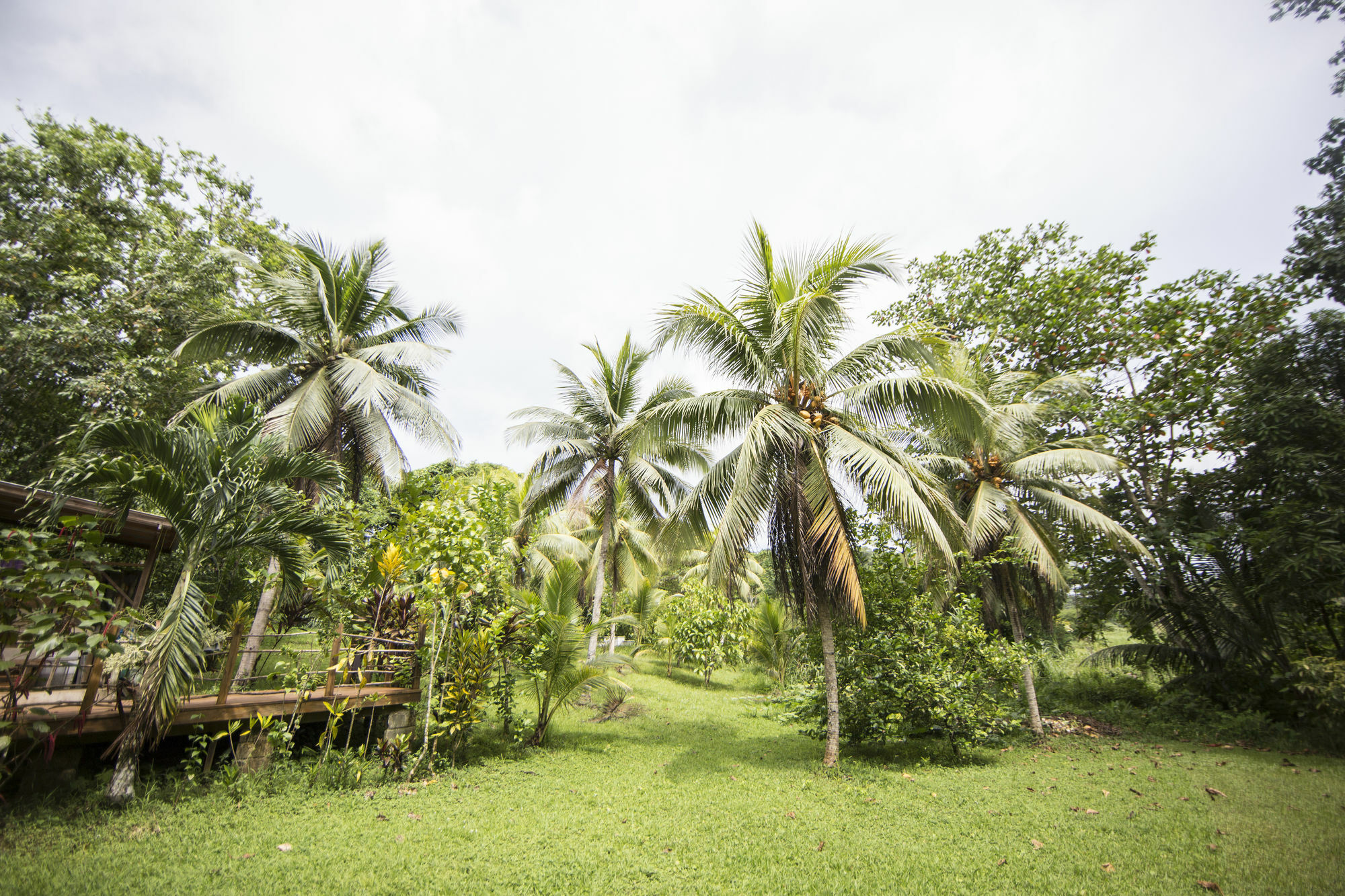 Vila Zimbali Culinary Retreats Negril Exteriér fotografie