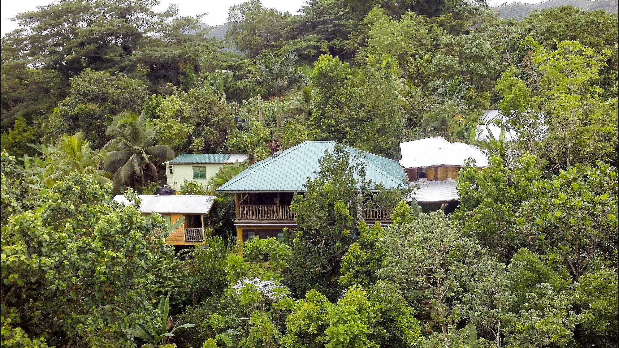 Vila Zimbali Culinary Retreats Negril Exteriér fotografie
